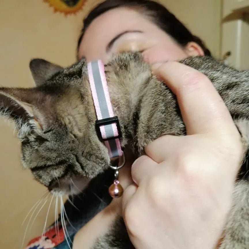 collier chat réfléchissant rose