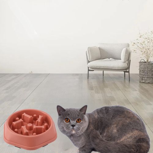 GAMELLE ANTI GLOUTON CHAT | ANTIDÉRAPANTE - Leschamour