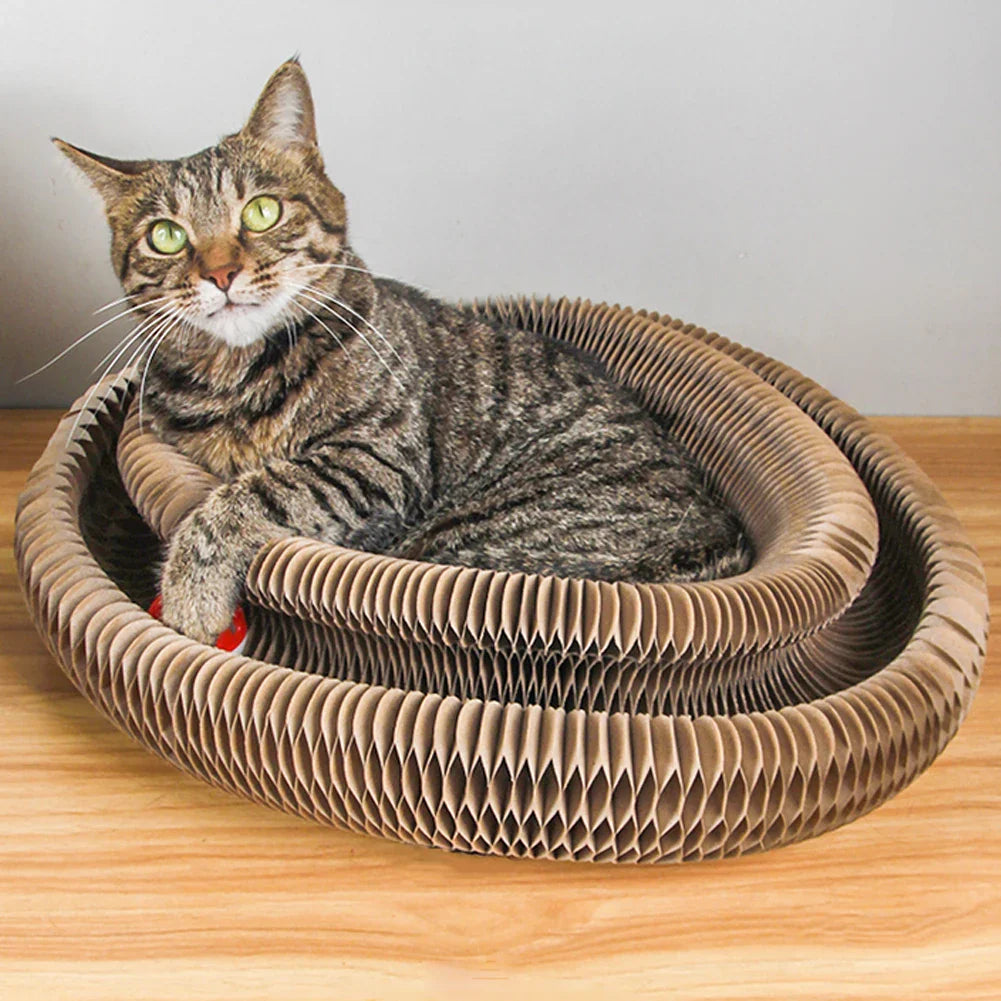 Griffoir chat carton rond 24x10 cm GRIFFTOY