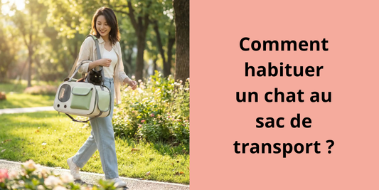 Comment habituer un chat au sac de transport ?