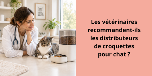 Les vétérinaires recommandent-ils les distributeurs de croquettes pour chat 