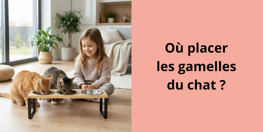 Où placer les gamelles du chat ?