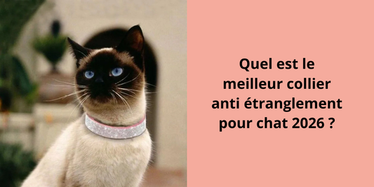 Quel est le meilleur collier anti étranglement pour chat 2026 ?