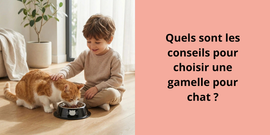 Quels sont les conseils pour choisir une gamelle pour chat ?