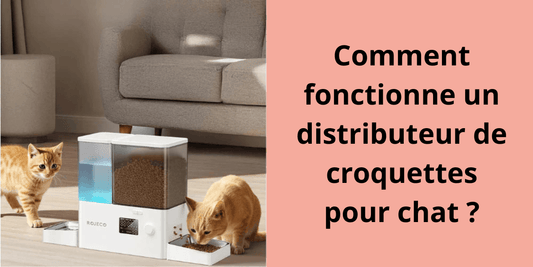 Comment fonctionne un distributeur de croquettes pour chat ? - Leschamour
