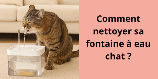 COMMENT NETTOYER SA FONTAINE A EAU CHAT ? - Leschamour