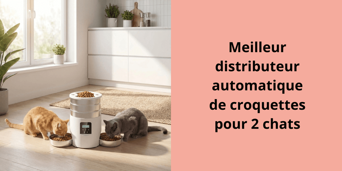 Meilleur distributeur automatique de croquettes pour 2 chats - Leschamour