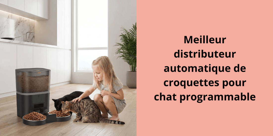 Meilleur distributeur automatique de croquettes pour chat programmable - Leschamour