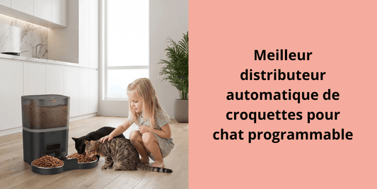 Meilleur distributeur automatique de croquettes pour chat programmable - Leschamour