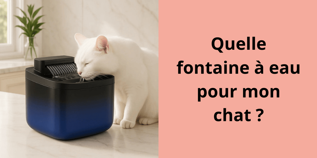 QUELLE FONTAINE A EAU POUR MON CHAT ? - Leschamour