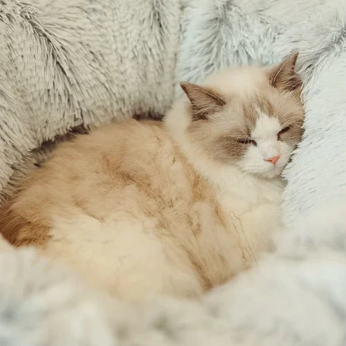 cabane_pour_chat_tunnel_confortable