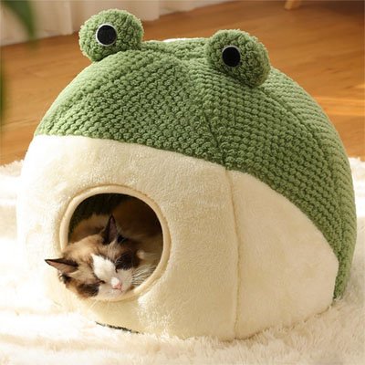 Cocon chat grenouille grotte