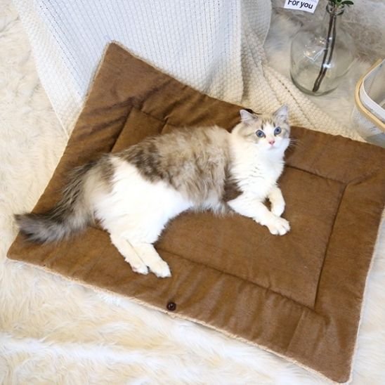cocon pour chat pliable café