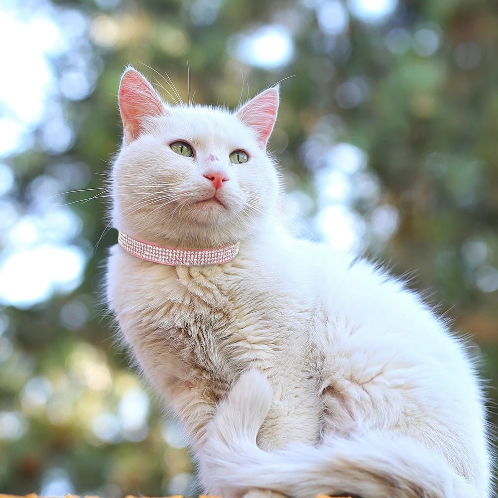 COLLIER ANTI ETRANGLEMENT POUR CHAT | LOVECAT™ - Leschamour