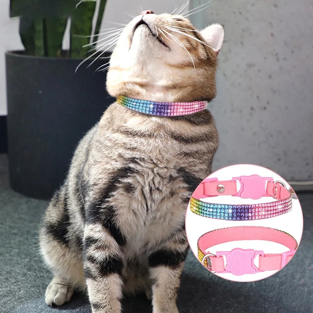 COLLIER ANTI ETRANGLEMENT POUR CHAT | MULTICOLORCAT™ - Leschamour