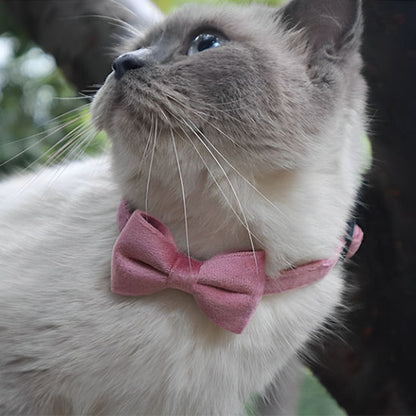 collier chat anti etranglement en velours rose noeud papillon