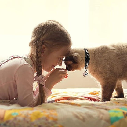 Collier chat anti étranglement étoiles et lunes réglable