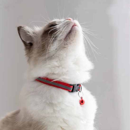 Collier chat anti étranglement réfléchissant clochette