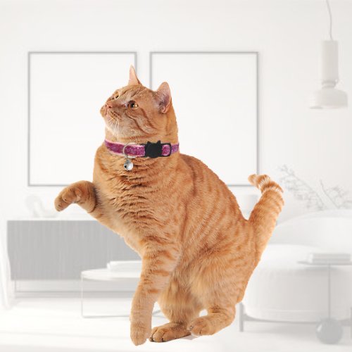COLLIER CHAT | LOVELYCAT™ - Leschamour