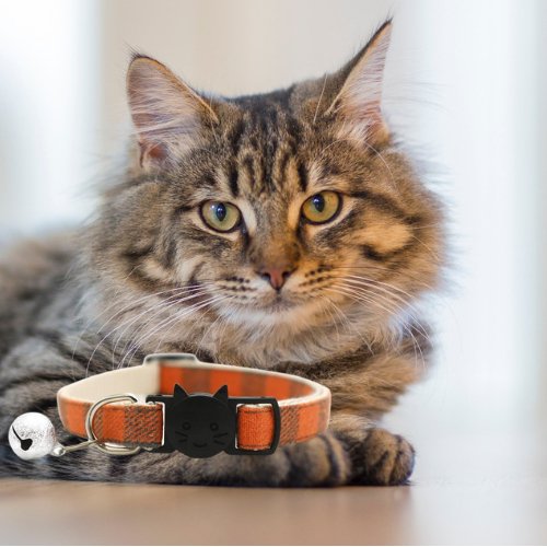 COLLIER CHAT | LOVERCAT™ - Leschamour