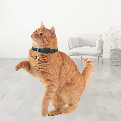 COLLIER CHAT | LOVERCAT™ - Leschamour