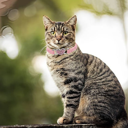 Collier chat rose élastique avec cœur