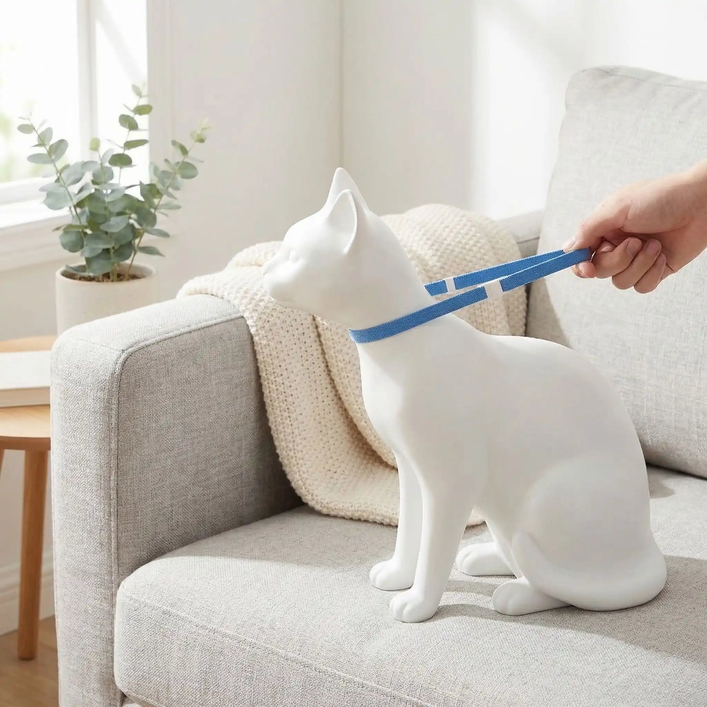 Collier chat sécurité anti-étranglement élastique