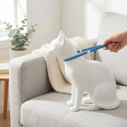 Collier chat sécurité anti-étranglement élastique