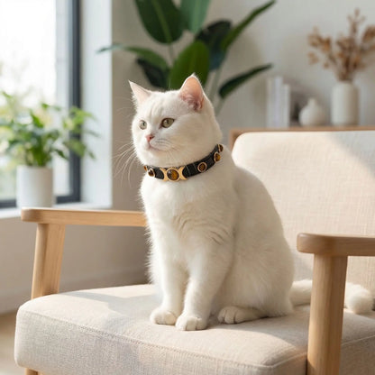Collier cuir pour chat décoration yeux de tigre