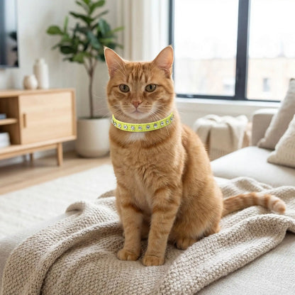 Collier en cuir pour chat strass jaune