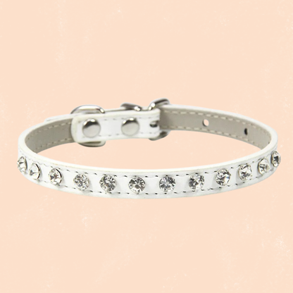 Collier en cuir pour chat strass