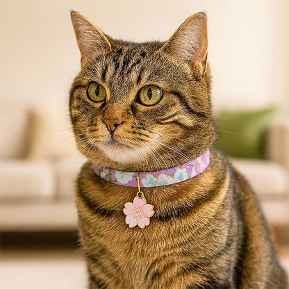 Collier pour chaton japonais à paillettes violet
