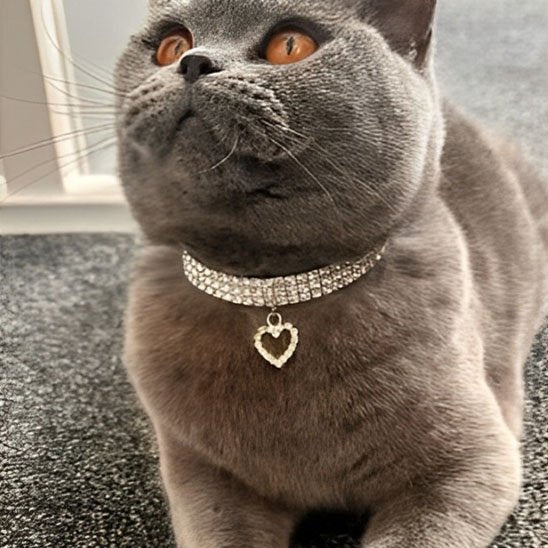 Collier pour chaton strass avec cœur réglable