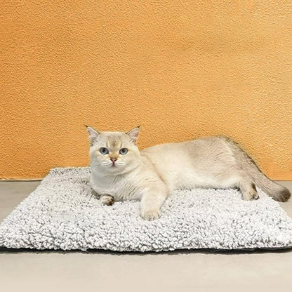 Coussin moelleux chat antidérapant