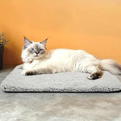 Coussin moelleux chat auto-chauffant