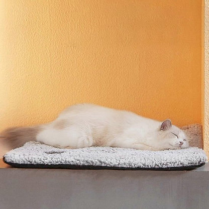 Coussin moelleux chat chauffant