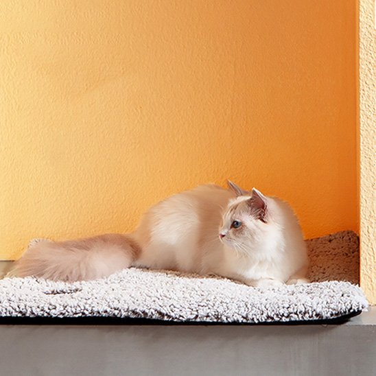 Coussin moelleux chat durable