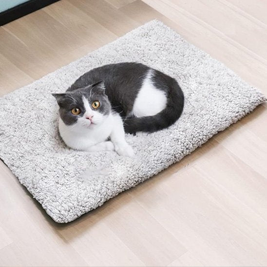 Coussin moelleux chat épais