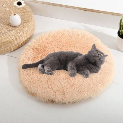 coussin-pour-chat-abricot