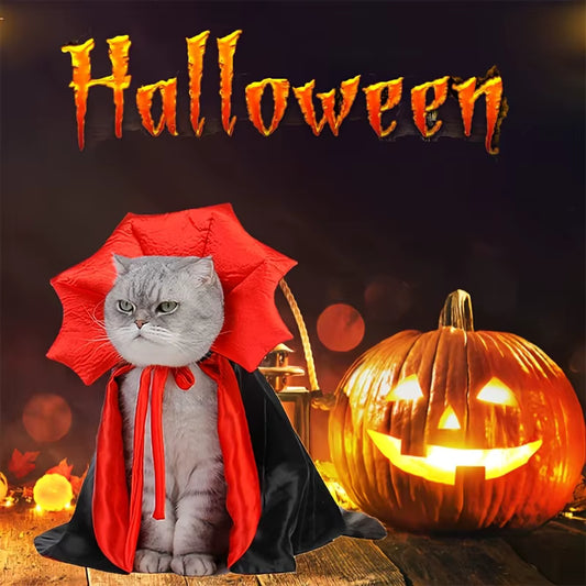 Déguisement pour-chat-Halloween-vampire