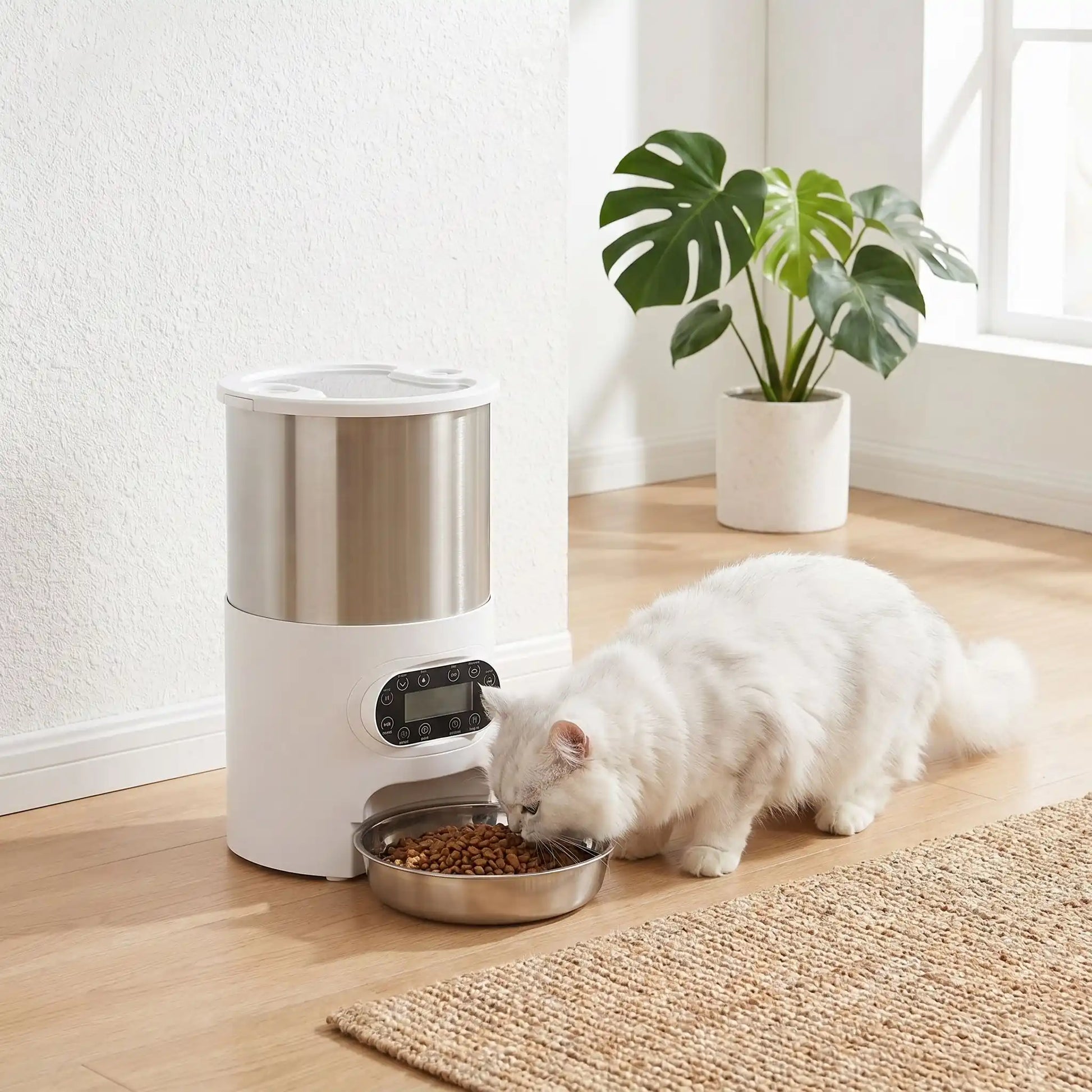 Distributeur automatique croquettes chat 4.5 L