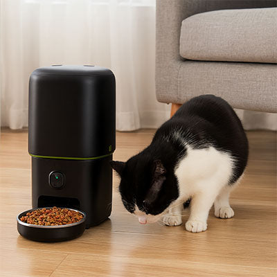 distributeur automatique de croquettes pour chat caméra 4l wifi
