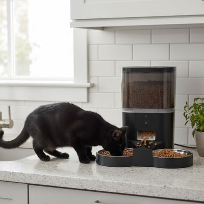 Distributeur croquette camera noir 4L chat qui mange