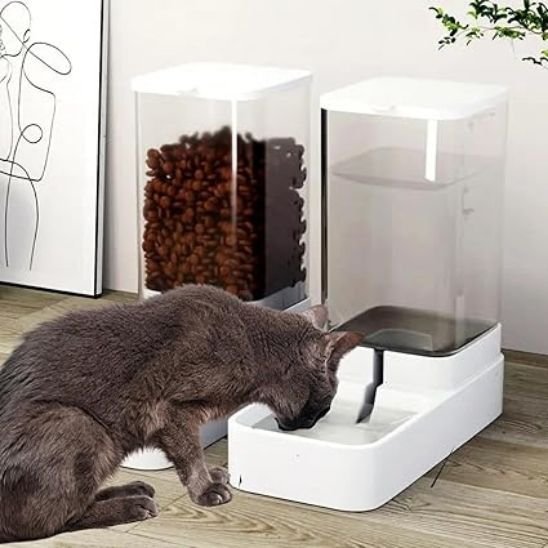 DISTRIBUTEUR CROQUETTE ET EAU CHAT | GRAVITÉ - Leschamour
