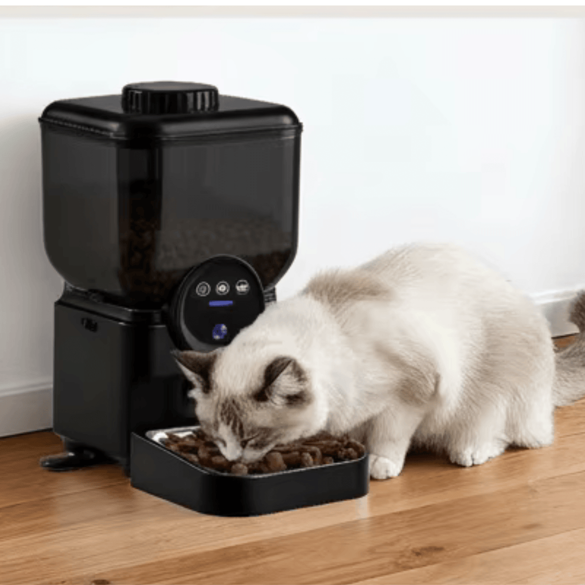 DISTRIBUTEUR CROQUETTES CHAT PROGRAMMABLE | RECHARGEABLE NOIR - Leschamour