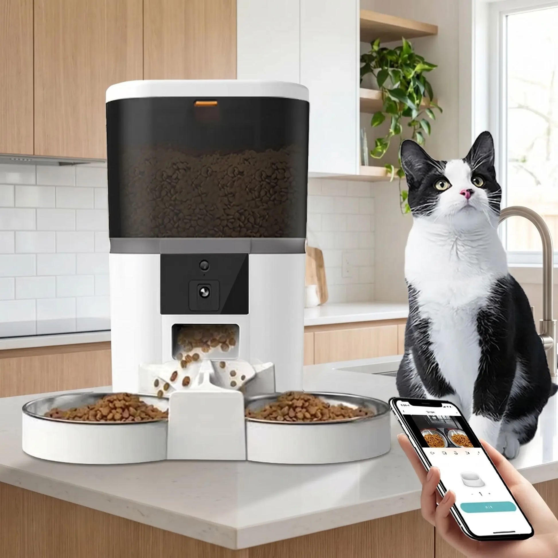 Distributeur de croquette connecté blanc chat assis