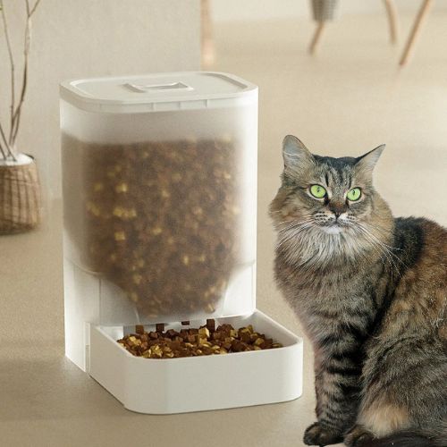 DISTRIBUTEUR DE CROQUETTES CHAT | 2 KG - Leschamour