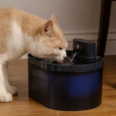 FILTRE FONTAINE CHAT | POUR FONTAINE SANS FIL OVALE - Leschamour
