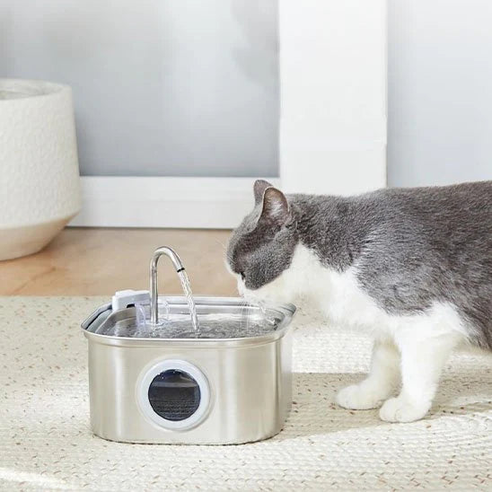 filtre fontaine eau chats pack de 8 
