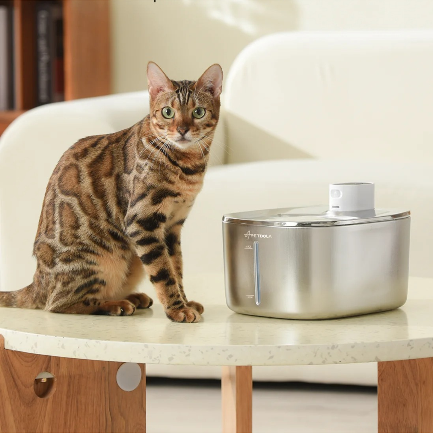 fontaine à eau chat sans fil en acier inoxydable